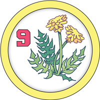 badge